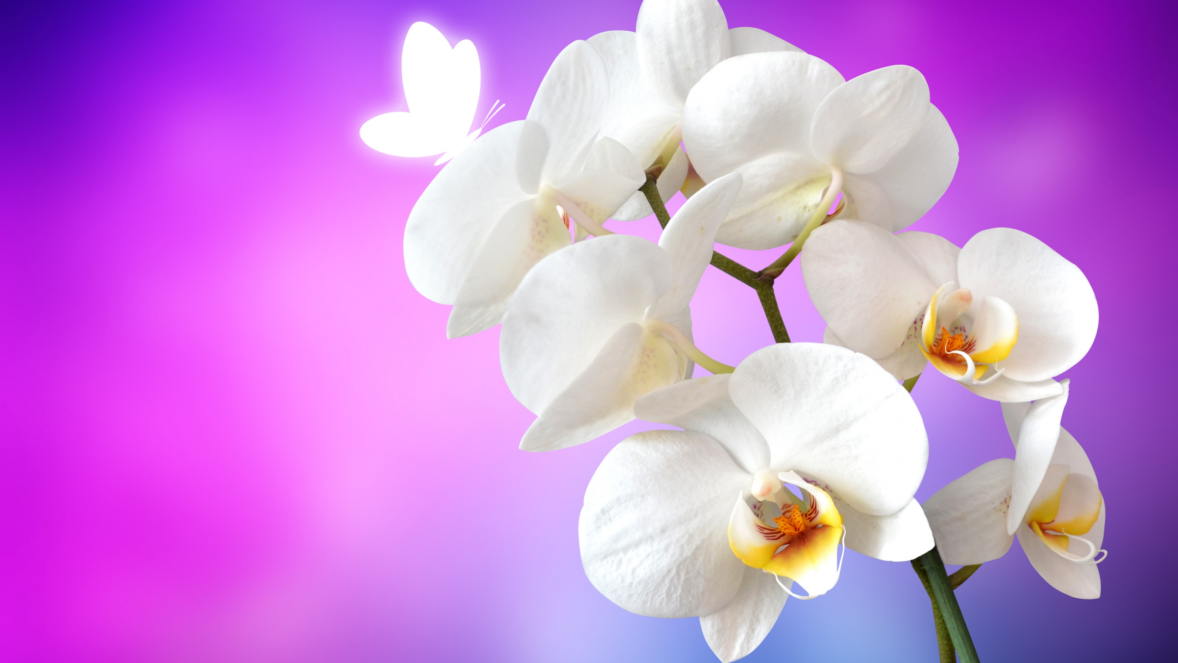 Slideshow